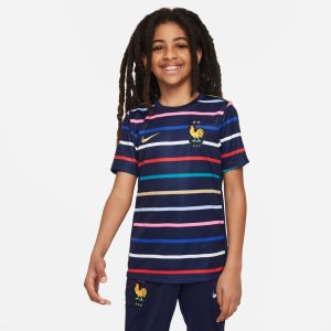 Nike France Youth Dri-Fit Academy Pro Prematch Top