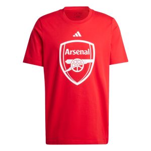 adidas Arsenal FC Men's DNA Graphic Tee
