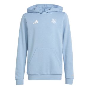 adidas Argentina 50th Anniversary Youth DNA Hoody