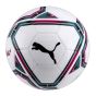 PUMA Team Final 21.6 Trainer Ball