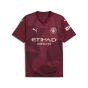 PUMA Manchester City 2024/25 Men's Third Jersey