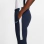 Nike Women's Academy 19 Pant