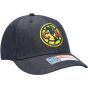 Fan Ink Club America 541 Adjustable Hat