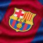 Nike FC Barcelona 2023/24 Men's Match Home Jersey