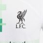 Nike Liverpool 2023/24 Men's Match Away Jersey