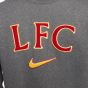 Nike Liverpool Embroidered Men's Crewneck