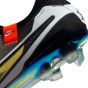 Nike Tiempo Legend 10 Elite Special Edition FG Soccer Cleats | Golden Touch