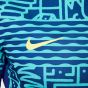 Nike Brazil Men's Academy Pro Prematch Top