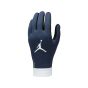 Nike Paris Saint-Germain Academy Thermafit Gloves