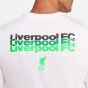 Nike Liverpool FC Men's Legend Long Sleeve Tee