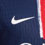 Nike Paris Saint-Germain 2024/25 Men's Match Home Jersey