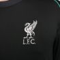 Nike Liverpool FC 2024/25 Men's Stadium Away Jersey