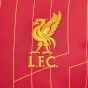 Nike Liverpool FC 2024/25 Men's Home Jersey