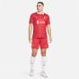 Nike Liverpool FC 2024/25 Men's Home Jersey