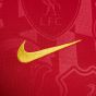 Nike Liverpool FC Men's Academy Pro Prematch Top