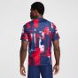 Nike Paris Saint-Germain Men's Academy Pro Prematch Top Home