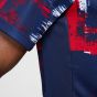 Nike Paris Saint-Germain Men's Academy Pro Prematch Top Home