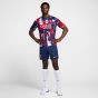 Nike Paris Saint-Germain Men's Academy Pro Prematch Top Home