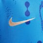 Nike Chelsea FC Youth Academy Pro Home Prematch Top