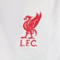 Nike Liverpool FC 2024/25 Youth Stadium Third Jersey