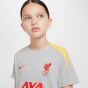 Nike Liverpool FC Youth Strike Third Top