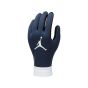 Nike Youth Paris Saint-Germain Academy Thermafit Gloves