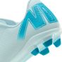 Nike Junior Vapor 16 Club FG Soccer Cleats | Mad Ambition