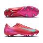 Nike Zoom Vapor 16 Academy FG Soccer Cleats |