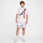 Nike Paris Saint-Germain Men's Iconic Away Tee