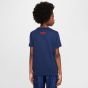 Nike Paris Saint-Germain Youth Iconic Away Tee