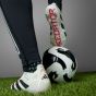 adidas Predator Elite LL FG Soccer Cleats | Goal Hunter Pack