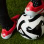 adidas Predator Elite FT FG Soccer Cleats | Pure Victory Pack