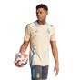 adidas Argentina 2024 Men's Training Jersey