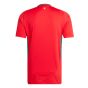 adidas Wales 2024 Men's Home Jersey