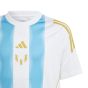 adidas Youth Messi Name & Number Training Jersey