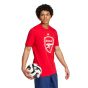 adidas Arsenal FC Men's DNA Graphic Tee