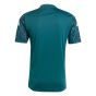 adidas Mexico Men's Prematch Jersey