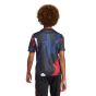 adidas Manchester United FC Youth Preshirt