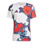 adidas FC Bayern Munich Men's Preshirt