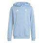 adidas Argentina 50th Anniversary Youth DNA Hoody