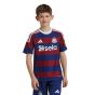 adidas Newcastle United 2024/25 Youth Away Jersey