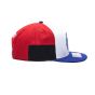 Fan Ink Paris Saint-Germain Chroma Snapback Hat