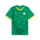 Puma Senegal 2025 Men's Away Jersey