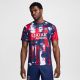 Nike Paris Saint-Germain Men's Academy Pro Prematch Top Home